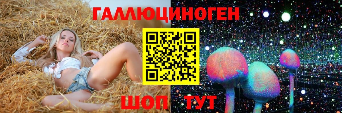 Чапаевск  Псилоцибиновые грибы ЛСД  Вход с VPN 